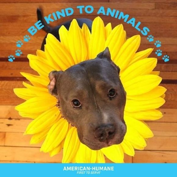 Meet your Posher, Aaron - Picture 1 of 1